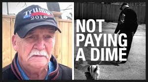 Retired carpenter FINED for taking the dog out