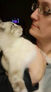 Malenstyn reminds user of Sgt. Meowinstein