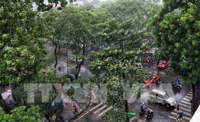 Khuyến mãi gọi nội mạng vinaphone. Dá»± Bao Thá»i Tiáº¿t Ngay Mai 4 10 MÆ°a Dong Cá»¥c Bá»™ Vai NÆ¡i