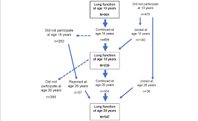 Flow Chart Of The Participants In Pulmonary Function Tests