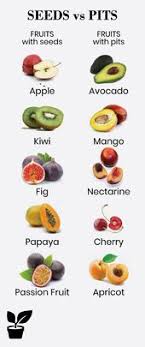 Fruits With Seeds Or Pits Dangerous Seed Seedless And Outside Seed Irrigation Supplies Fruit Seeds Fruits With Pits