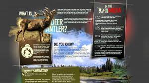 Deer Antler Spray Side Effects Youtube