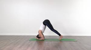 How to prepare for headstand using a wall (with head off of the floor). Headstand Preparation Class Yogateket