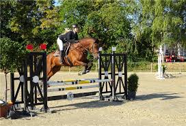 Check spelling or type a new query. Mayener Reiterinnen Reiter In Bestform