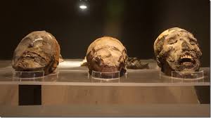 Partnered with the university, the museum shows the cultural and anthropological development of the region over the past 10,000 years. Algunas Curiosidades Que Tal Vez No Conocias Sobre Chile