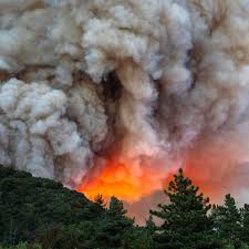 Learn how to protect yourself and your family from a wildfire, evacuate safely during a wildfire, and how to stay healthy when you return home. Wildfires Latest News Photos Videos Wired