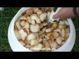 Birnenmaische Flv Gute Rezepte Rezepte Destille