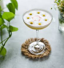 Daisy Chain- Chamomile Bell Pepper Gin Cocktail - Craft and ...