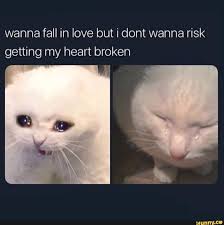 Wanna Fall In Love But I Dont Wanna Risk Getting My Heart Broken Ifunny Memes Funny Animal Memes Broken Heart