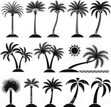 Beach Black And White Palm Tree Clip Art Palm Tree Collection Black And White Royalty Free Vector Interface Flower Art Drawing Free Vector Art Icon Set Vector