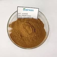 Image result for Polygala products