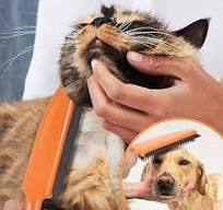 Amazon.com: LandHope Carpet Rake for Pet Hair Remover Long ...