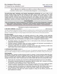 Download New High Level Business Requirements Template Can Save At New High Level Business Require Business Development Resume Template Examples Letter Example
