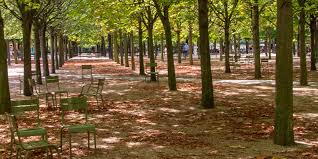 Le jardin du luxembourg est un magnifique jardin à la française mais également un musée de sculptures en plein air et un lieu pédagogique ou vous pourrez apprendre les secrets de l'arboriculture et de l'apiculture. What We Love About Jardin Du Luxembourg Paris Insiders Guide
