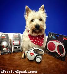 Flexi Vario Leash Giveaway And Retractable Leash Safety Closed Prestonspeaks Com