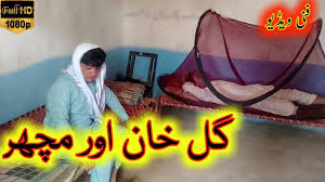 Wo to mujhay bhe pata hay ke ye sarf film hay, lakin wo to jaanwar hay ussay kya pata. Pashto New Funny Videos 2020 Pashto Funny Videos 2020 Pathan Funny Videos 2020 Pashto Funny Youtube