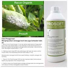 Check spelling or type a new query. Ali Garden Racun Prosoft Adalah Racun Serangga Organik Facebook