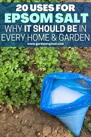 So we're digging up everything you need to care for every type of houseplant. 20 Uses For Epsom Salt Why It Should Be In Every Home Garden Epsom Salt Uses Epsom Salt Home Vegetable Garden