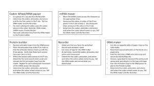 Codon worksheet answer key pdf#2331818. Codon Wheel Trna Passer Mrna Mover Ppt Download