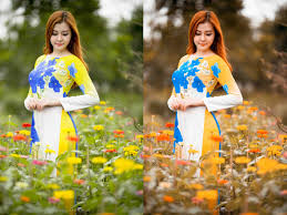 Get it now for $25 onlyinstant download (zip 650mb) test free luts before buying. Pin On Photoshopdream