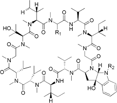 Dorai & co selangor, malaysia. Non Lipopeptide Fungi Derived Peptide Antibiotics Developed Since 2000 Springerlink