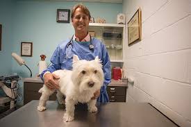 2958 covington pike, memphis (tn), 38128, united states. Mcgehee Animal Clinic Focuses On Close Family Connections Memphis Daily News