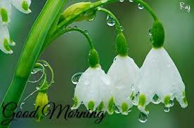Maybe you would like to learn more about one of these? Rika Blog Good Morning Images In Rainy Season