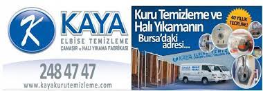 Kayakurutemizleme Com