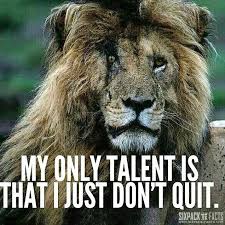 Pin By Mina St On My Life Lion Quotes Warrior Quotes Lioness Quotes