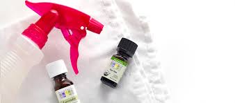 Small glass or plastic spray bottle = free if you are reusing an old spray bottle (or add 71 before you head to another store, theme park or public restroom, it's time to make your very own hand antibacterial spray. 2 Step Diy Antibacterial Spray