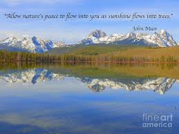 Share motivational and inspirational quotes by john muir. John Muir Poetry Quotes Art Prints By Art Sandi