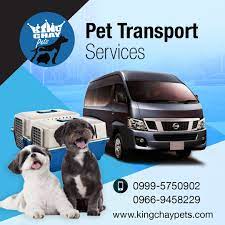 Delivered successfully ganito po ka tahimik at ka comfortable sa kb2x pet transport, parang naka soundproof kaya iwas stress sa mga mahal nateng fur babies. Cavite Indang To King Chay Pets Transport Services Facebook