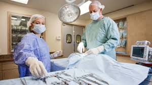 24 hour vet care, vaccinations, pet declawing General Post Operative Care For Pets Veterinary Surgery
