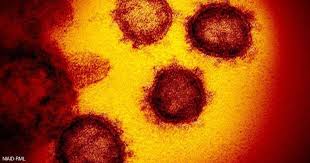 Maybe you would like to learn more about one of these? Ù‡Ø°Ø§ Ù…Ø§ Ù†Ø¹Ø±ÙÙ‡ Ø¹Ù† Ø§Ù„Ù…ØªØ­ÙˆØ± Ø¯Ù„ØªØ§ Ù…Ø§ Ø§Ù„Ø°ÙŠ ÙŠØ¬Ø¹Ù„Ù‡ Ù…Ø«ÙŠØ±Ø§ Ù„Ù„Ù‚Ù„Ù‚ Ø£Ø®Ø¨Ø§Ø± Ø³ÙƒØ§ÙŠ Ù†ÙŠÙˆØ² Ø¹Ø±Ø¨ÙŠØ©