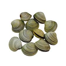 Almeja