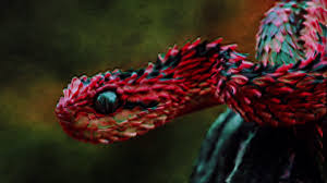 The great collection of hd gif wallpapers for desktop, laptop and mobiles. Wallpapers Gif Wallpaper Cave