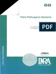 Barker's proposal to use the ir system to detect forest fires in 1934.8 the technique was not truly industrialized until it was used in the analysis of heating uniformity in hot steel strips in 1935.9. 40441 Pdf Pseudomonas Bacteria