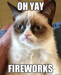Image result for illegal fireworks meme