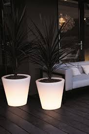 plantenbak met sfeerlicht bloempot tuin tuin inspiratie