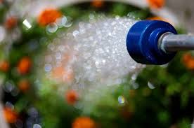 How many times a day should you water your garden. How Often Should I Water My Garden Evergreen Landcapes