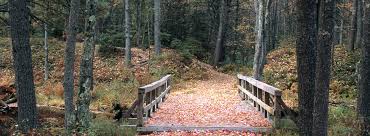 Maybe you would like to learn more about one of these? Bear Brook State Park Outdoorsy