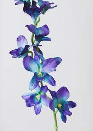 Blue Orchids Artificial Orchids Tropical Flowers Afloral Com Blue Flower Painting Blue Orchids Blue Flower Art