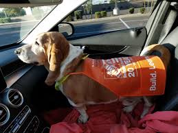 Fred Loves Home Depot Love Home Home Depot Dogs