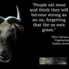 Pin By Kat Thomason On Words Of Wisdom Vegetarian Quotes Vegan Quotes Vegetarian Lifestyle