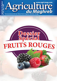 Agriculture Du Maghreb N 126 Mars 2020 By Agriculture Du Maghreb Issuu
