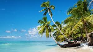 Punta cana, samana) empfiehlt man die zeit. Fruhbucher Dominikanische Republik 2021 Die Gunstigsten Angebote Bei Holidaycheck