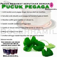 Jika itu terjadi, anda perlu segera berkonsultasi ke dokter. Petua Merawat Keputihan Dengan Pucuk Pegaga Bolehhamil