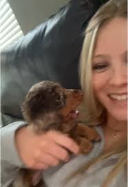 Ashlyn’s new puppy!!! Ft Atlas #fyp #18 #teanwork #relatable  #cutenessoverloaded #puppy #minidoxon