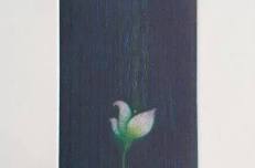 Nobuo Okawa: From Dark to Light, An Exhibition of...