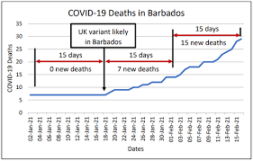 Maybe you would like to learn more about one of these? Btcolumn What Would We Do